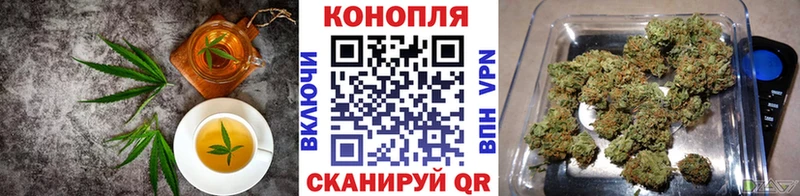 Canna-Cookies марихуана  kraken ССЫЛКА  Дагестанские Огни  купить наркоту 