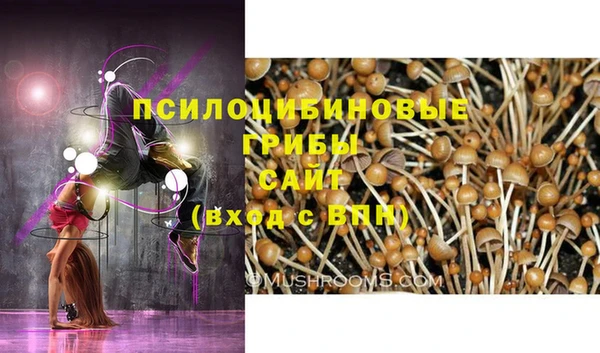 спайс Белоозёрский