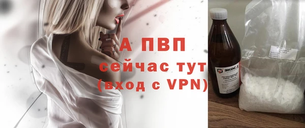 спиды Белокуриха