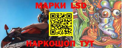 индика Заводоуковск