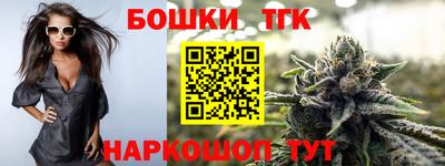 индика Заводоуковск