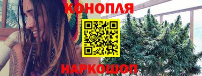 крисы Жуковский