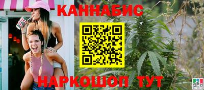 индика Заводоуковск
