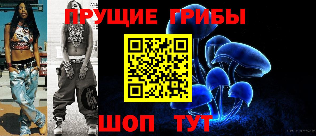 Дагестанские Огни  где найти   Вход с VPN  Галлюциногенные грибы Cubensis 